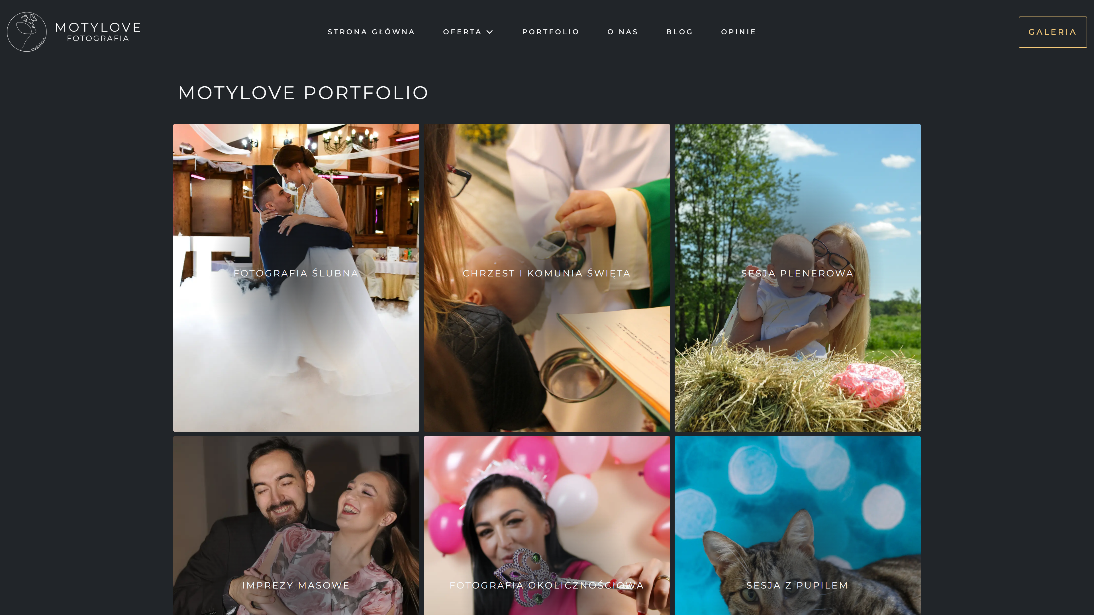 Motylove - strona od podstaw/panel administracyjny/panel klienta